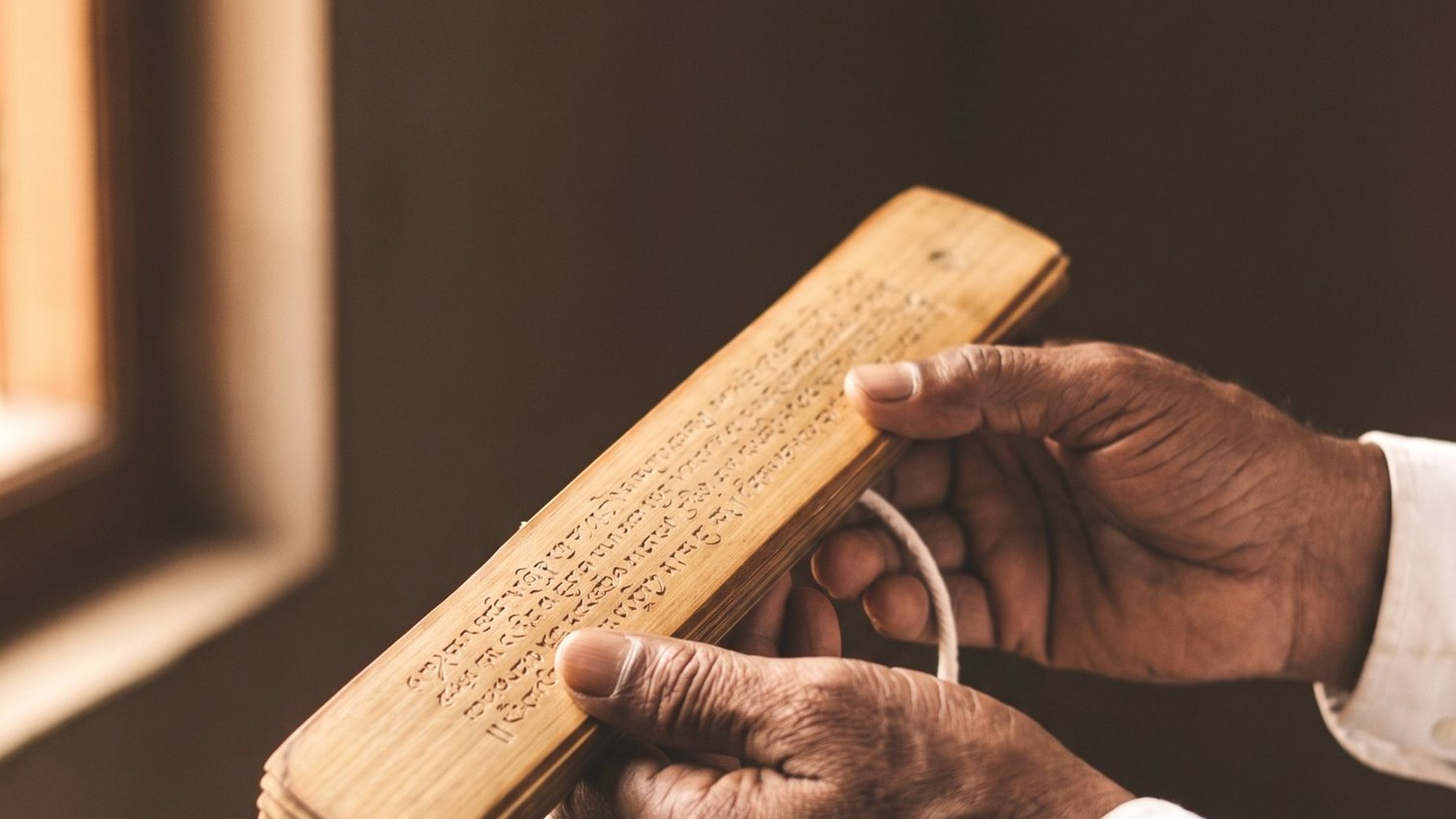 A reader holding a single inscribed leaf up close to identify it